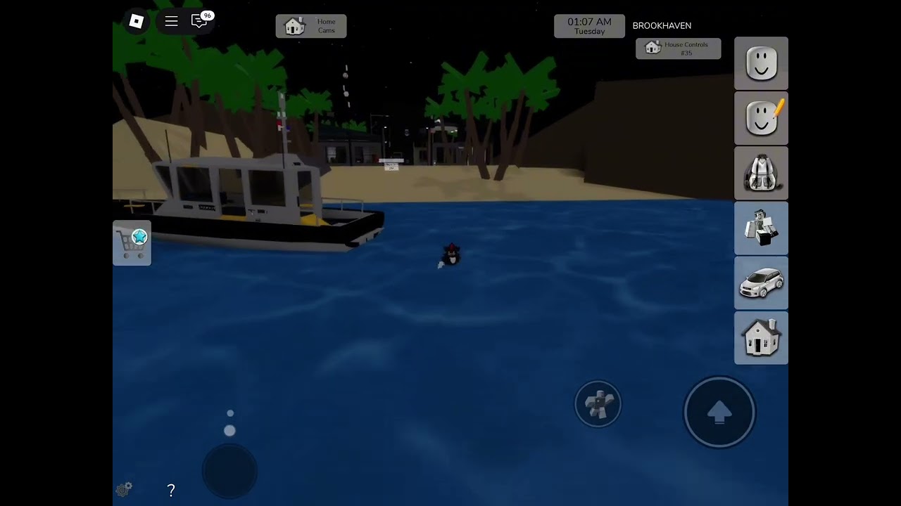 Shadow escaping prison island but Brookhaven