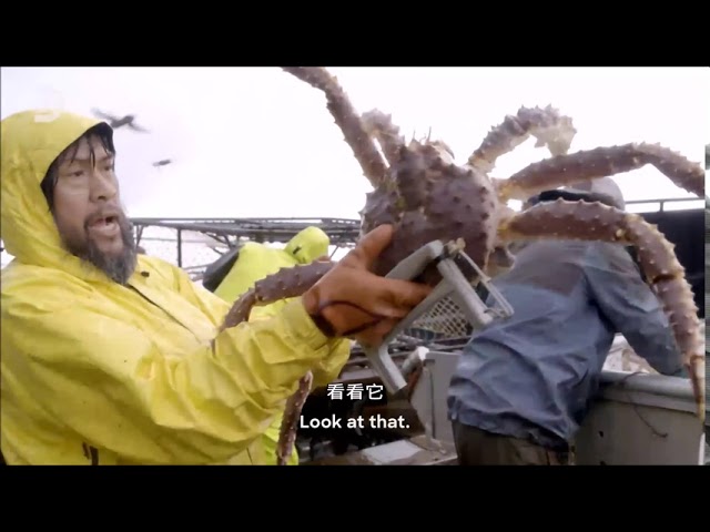 你為什麼該看《漁人的搏鬥第16季 》？