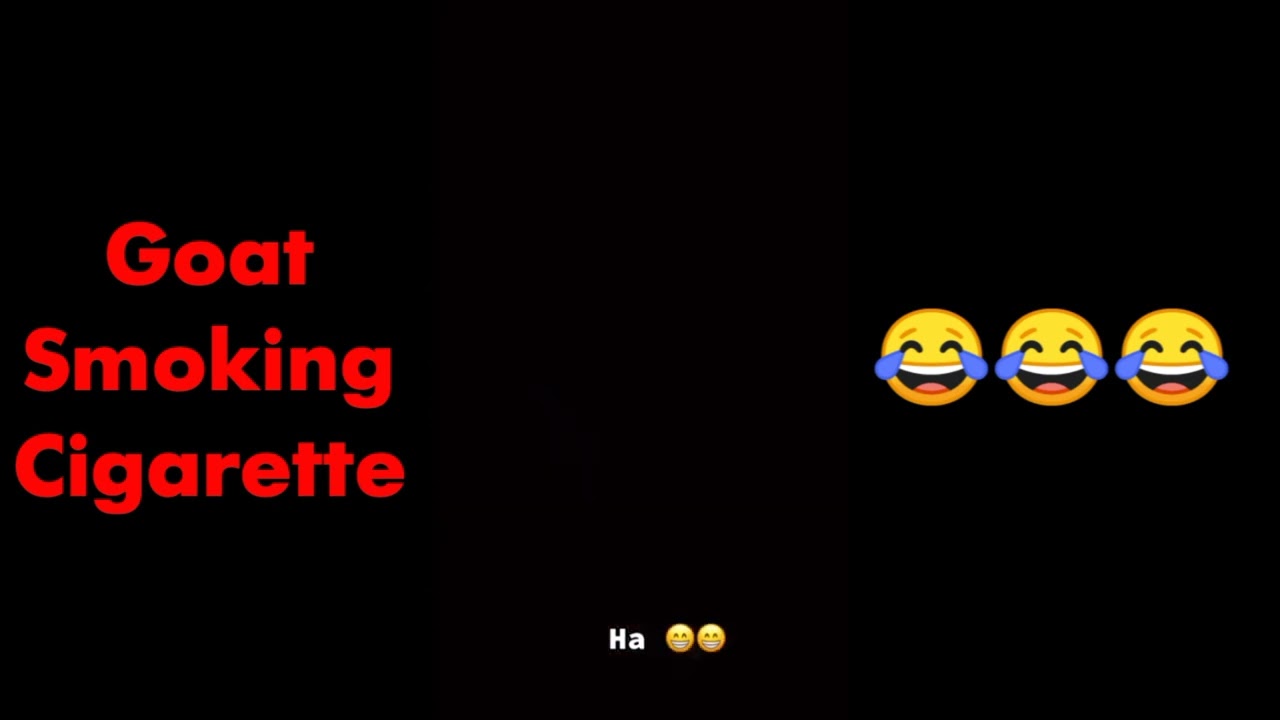 Crazy Goat SMOKING CIGARETTE 😱😨😰😳🤯