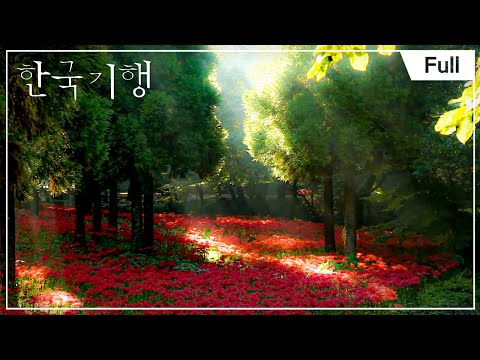 [Full] 한국기행 - <strong>칠산바다</strong> 5부 해를 품은 바다 20141024