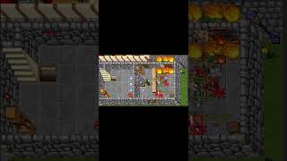 Tibia PK - AC - 440 EK #10