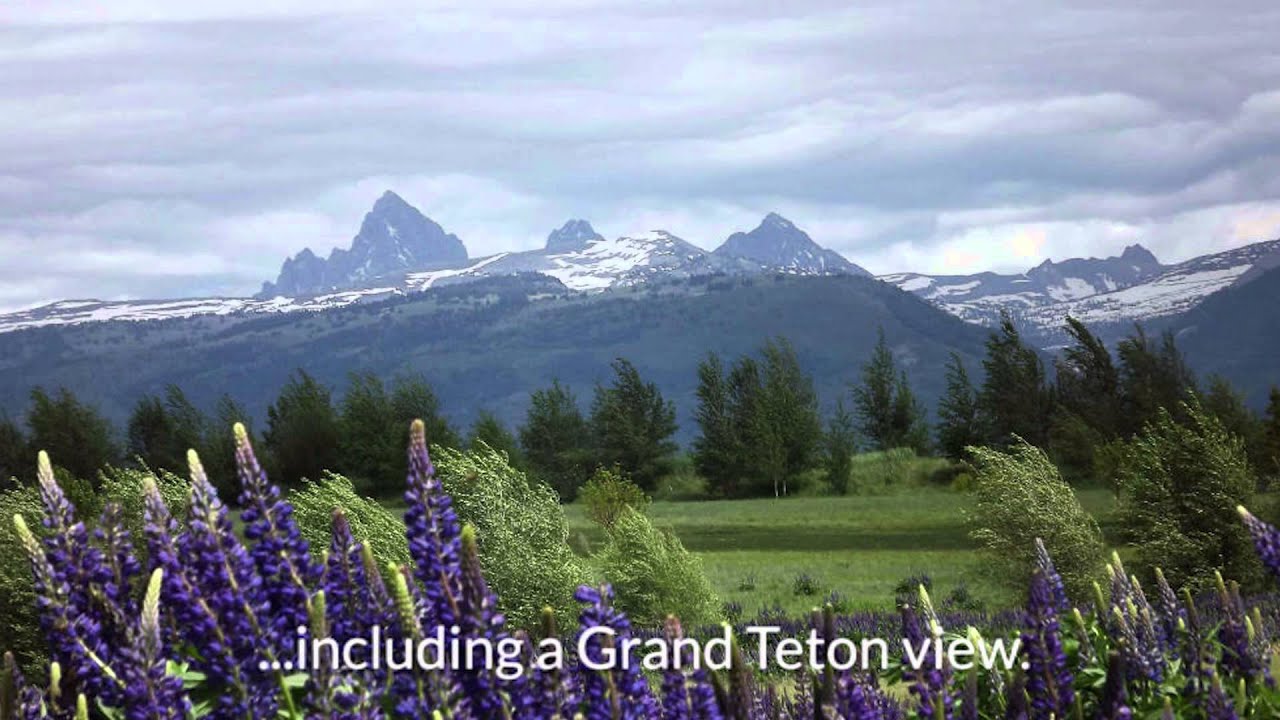 Victor, Idaho Real Estate Paradise Springs Lot for Sale in Victor