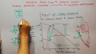 CVS 191 || How heavy exercise changes cardiac output and venous return curves | Drchamkani
