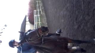 Flatwork (RAW)