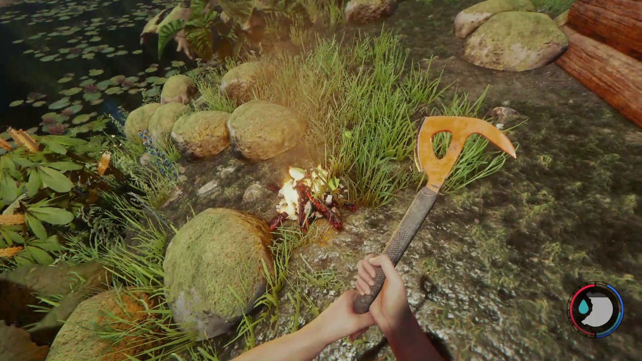 The Forest how to catch and cook a fish 101 YouTube