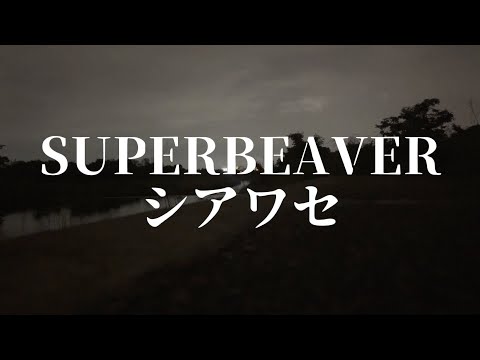 SUPER BEAVER/シアワセ を酔っ払いが唄う