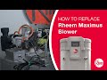 How to Replace a Rheem Maximus Blower