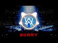 Alan Walker & ISÁK - Sorry (EXTENDED MIX)