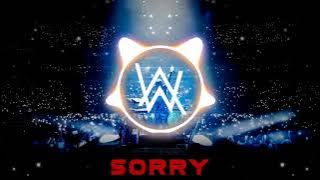 Alan Walker & ISÁK - Sorry (EXTENDED MIX)