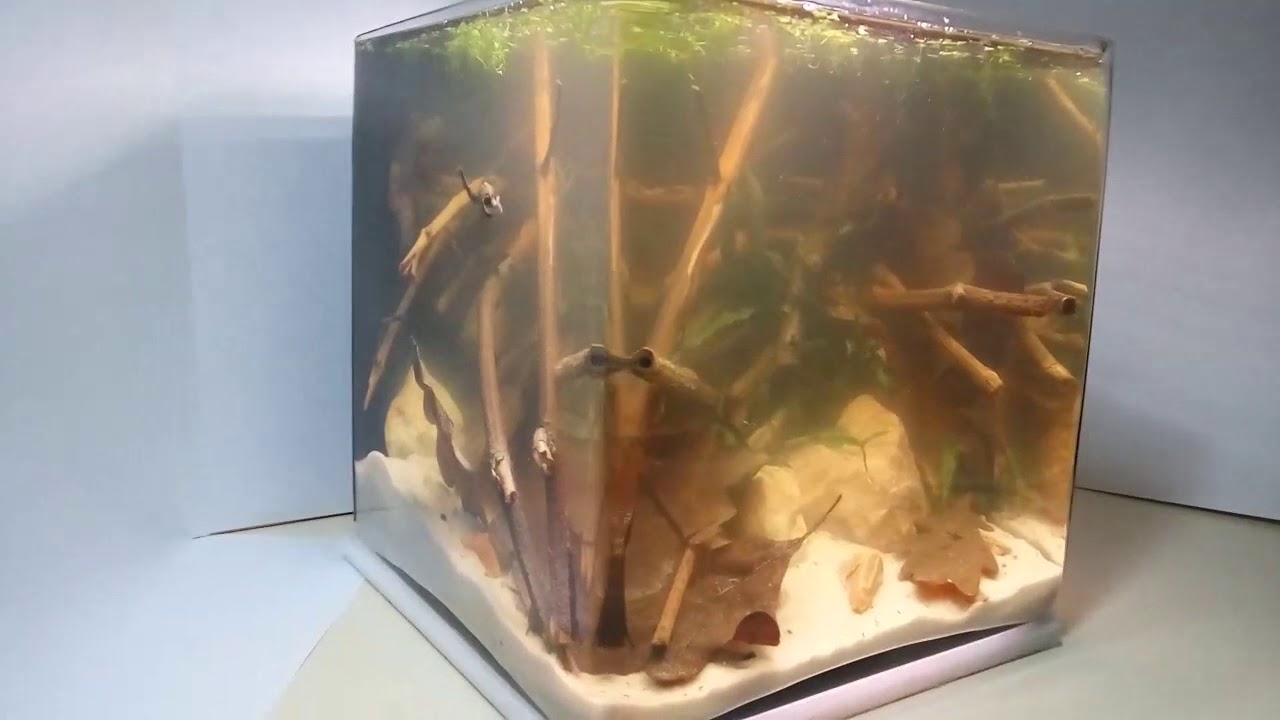 Biotop Preaek Tuek Sab