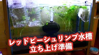 レッドビーシュリンプ水槽立上げ お迎え準備 【アクリウム】【熱帯魚】【ウィンドミル87】