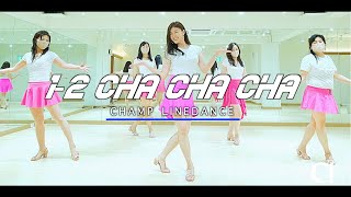 [라인댄스중급반] 1-2 Cha Cha Cha Line Dance(8/27 토 협회장배 및 전국라인댄스대회 소셜곡 No.5)