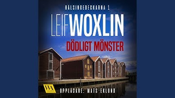 Chapter 11.20 - Dödligt mönster