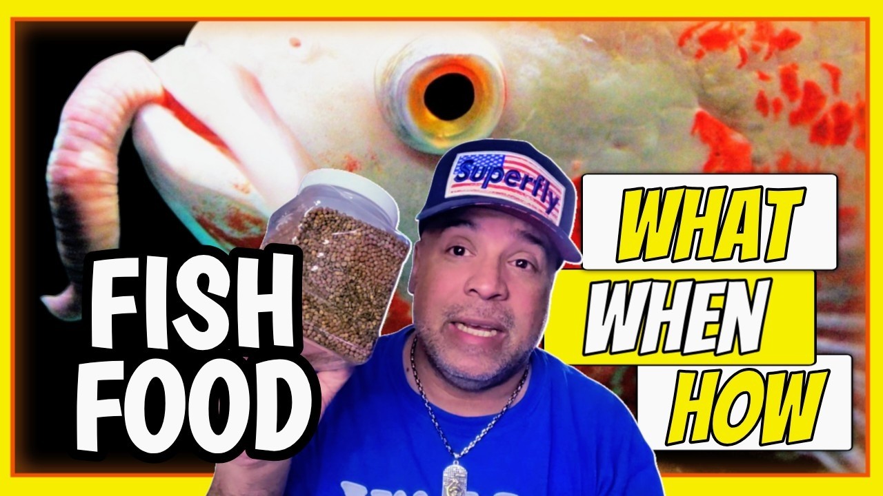 Everything You Need To Know About Feeding Pet Fish! ( No More Guesswork! )