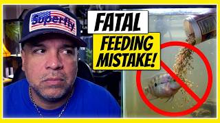 Everything You Need To Know About Feeding Pet Fish! ( No More Guesswork! )