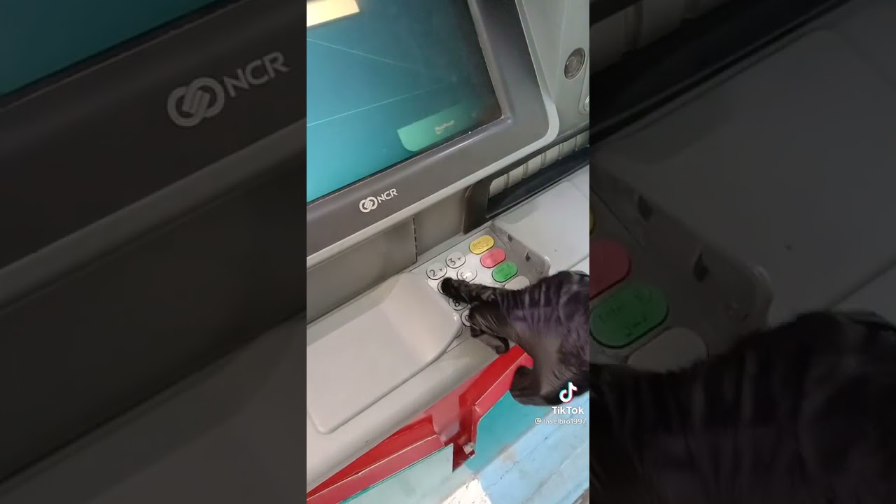 سحب بطاقة مدى stc pay