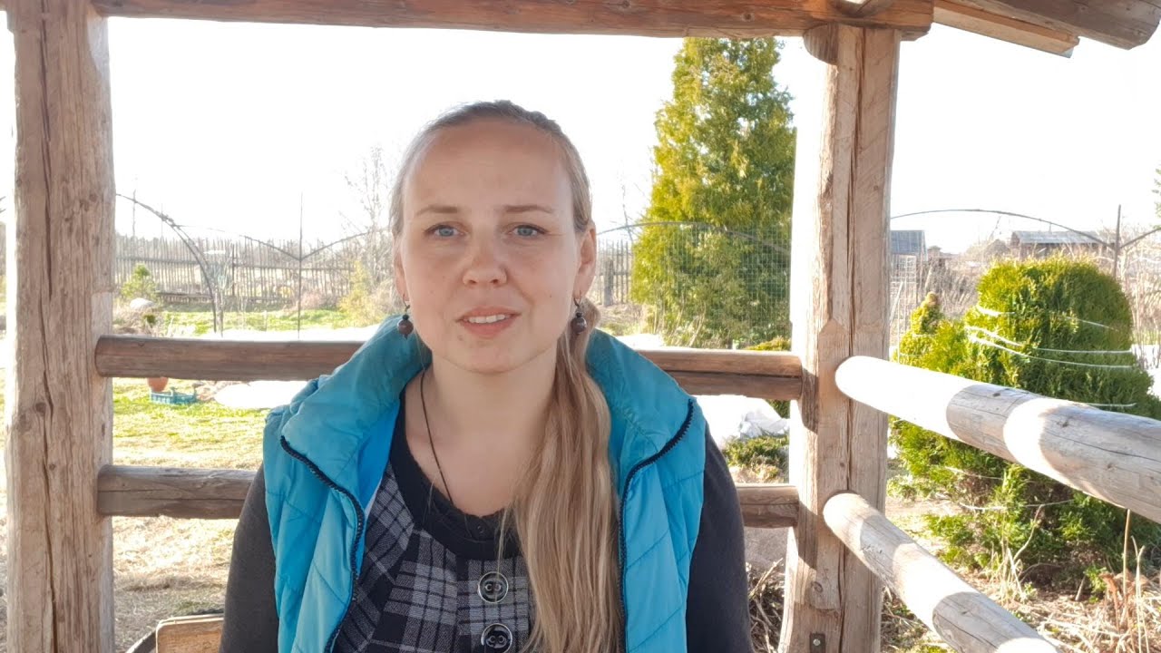 Небольшое объявление о продаже роз!! - YouTube