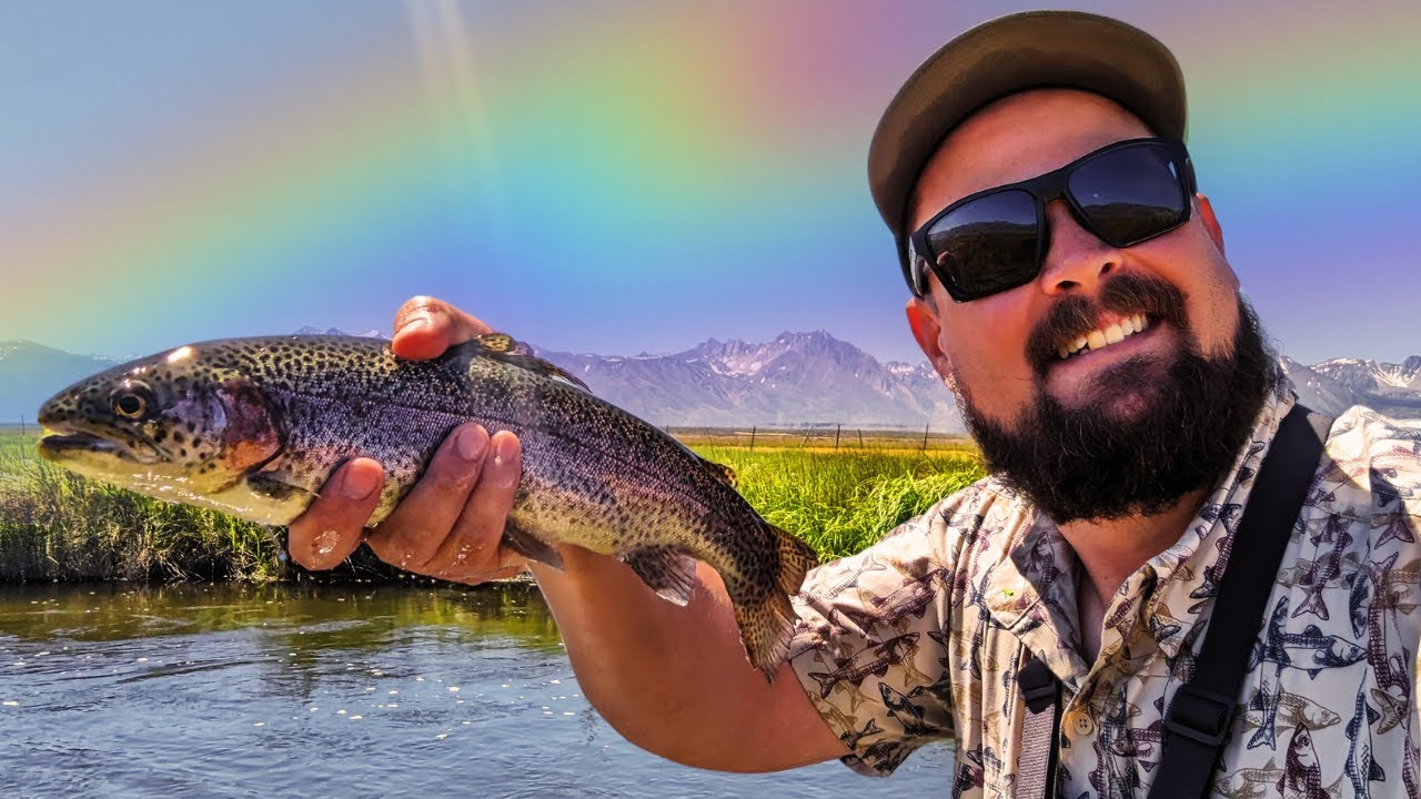 Fly Fishing The Upper Owens River - Rainbows In Summer!