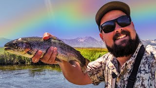 Fly Fishing The Upper Owens River - Rainbows In Summer! by Road and Reel 1,745 views 8 months ago 6 minutes, 41 seconds