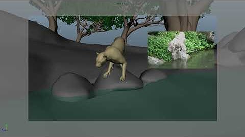 Tiger walk Blocking animation