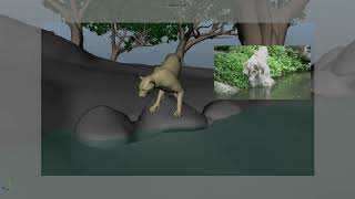 Tiger walk Blocking animation