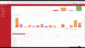Raptor SEO Audit Tool (2020)