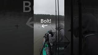 Livescope Pole Snaps from Kayak after Hitting Stump !