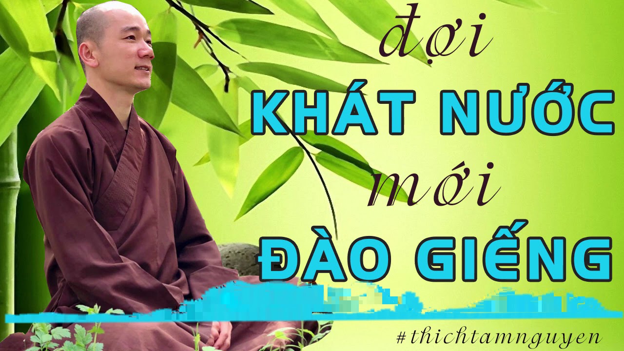 Bài Giảng Tuyệt Hay: Con Người Thường Chờ Khát Nước Mới Đào Giếng – Thích Tâm Nguyên Bài Giảng Tuyệt Hay: Con Người Thường Chờ Khát Nước Mới Đào Giếng – Thích Tâm Nguyên