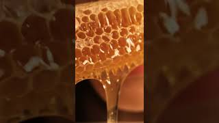 Bee hive asmr #aivideo #beehive #asmr #atificialintelligence