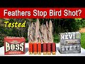 Do duck feathers stop steel or bismuth shotgun pellets