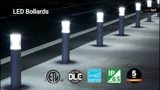 LED Bollards to light your pathways