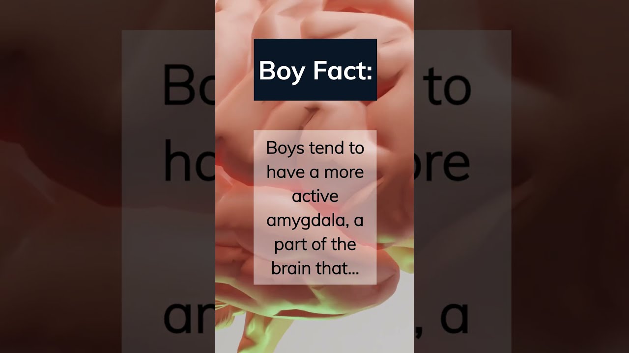 The Active Amygdala: Why Boys Tend to Respond Differently to Emotional Stimuli