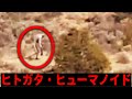 【UMA】カメラが捉えたヒトガタの未確認生物5選【都市伝説】