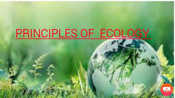 Principles of Ecology (Part-1)-TNSCERT syllabus