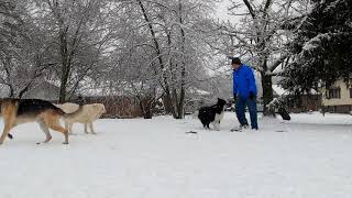 Frozen Frisbee Fiasco