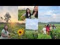 Sunflower Bagan Nina Reanga Chingaba Mijalde Diba Jamanchakdugaesa Reangaijok Sunday Vlog Video
