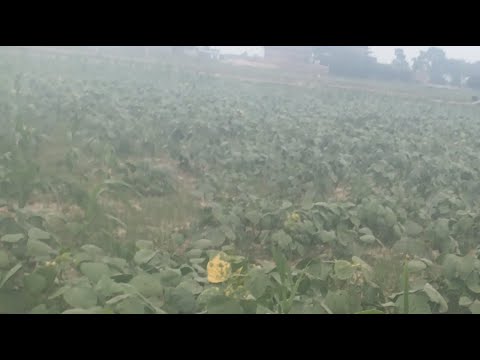 Kumar Sonu Official is live - YouTube
