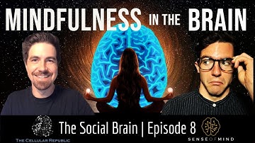 The Social Brain Ep. 8: The Neuroscience of Mindfulness: How Meditation Can Improve Your Brain