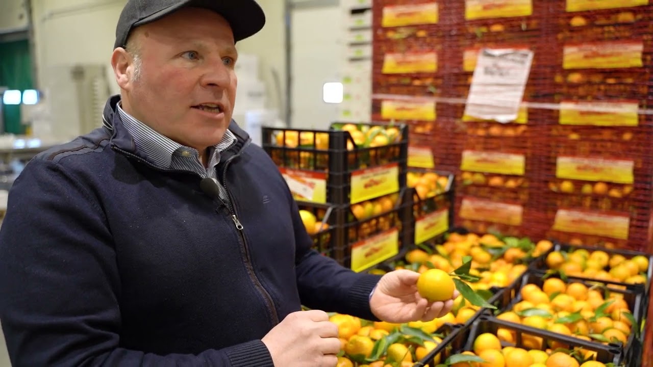 Lo stabilimento di Cedior a Zelo Buon Persico