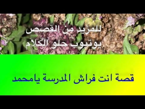 680 قصة انت فراش المدرسة يامحمد 