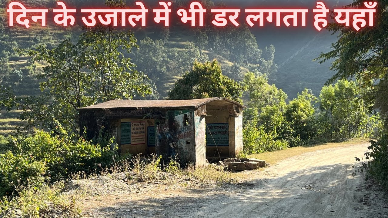 Maidavan Forest Drive | Marchula Tiger Attack | Jim Corbett National Park | Maneater Tiger 