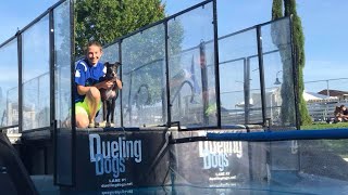 Sydney Mackey & Spitfire Break the Dueling Dogs World Record (3.864)