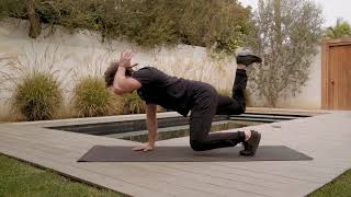 Body Weight Strength Beast Position High Opposite Arm - Leg Lift