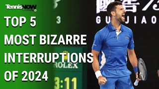 What Just Happened? Top 5 Most Bizarre On-Court Interruptions of 2024 @TennisNowTV