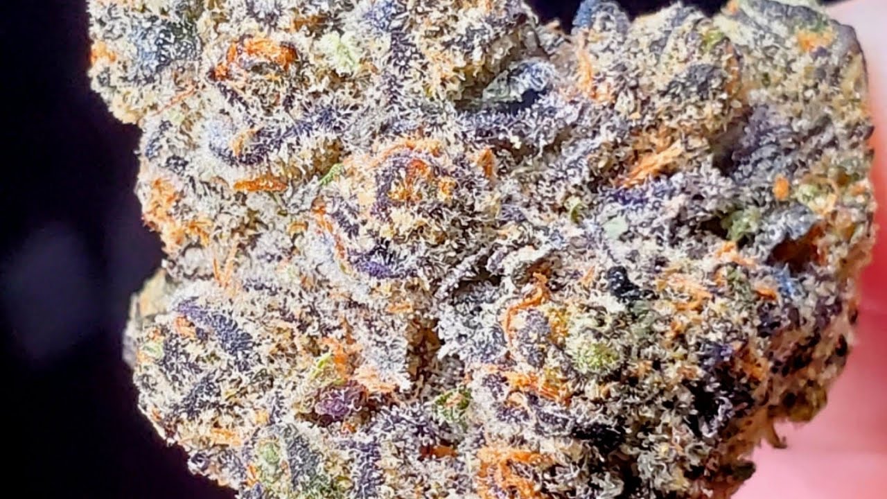 Grape gas ⛽️ strain review!￼￼ 