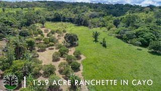 15.9 Acre Ranchette in Cayo, Belize
