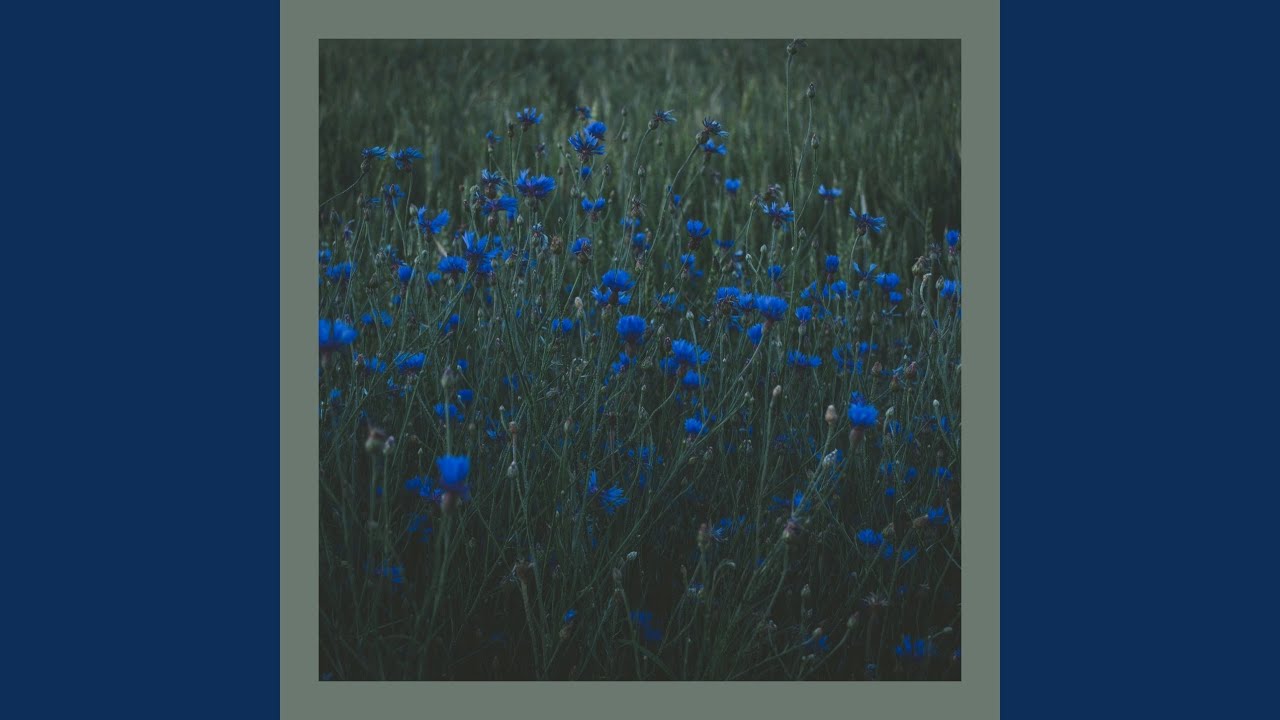 Watch Passing Fields on YouTube Watch Passing Fields on YouTube