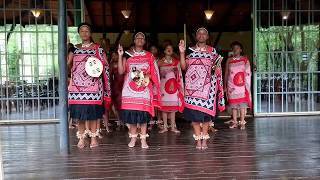 Swazi Dance