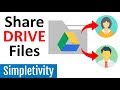 Google Drive Sharing and Management Quiz