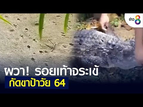 ผวารอยเท้าจระเข้ เกลื่อนฝั่งตรงข้ามจุดที่กัดขาป้า | ข่าวช่อง 8 | 9 มิ.ย. 65